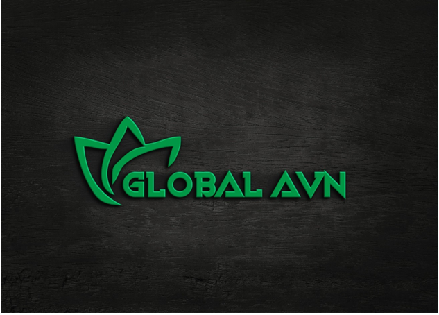 Global AVN logo